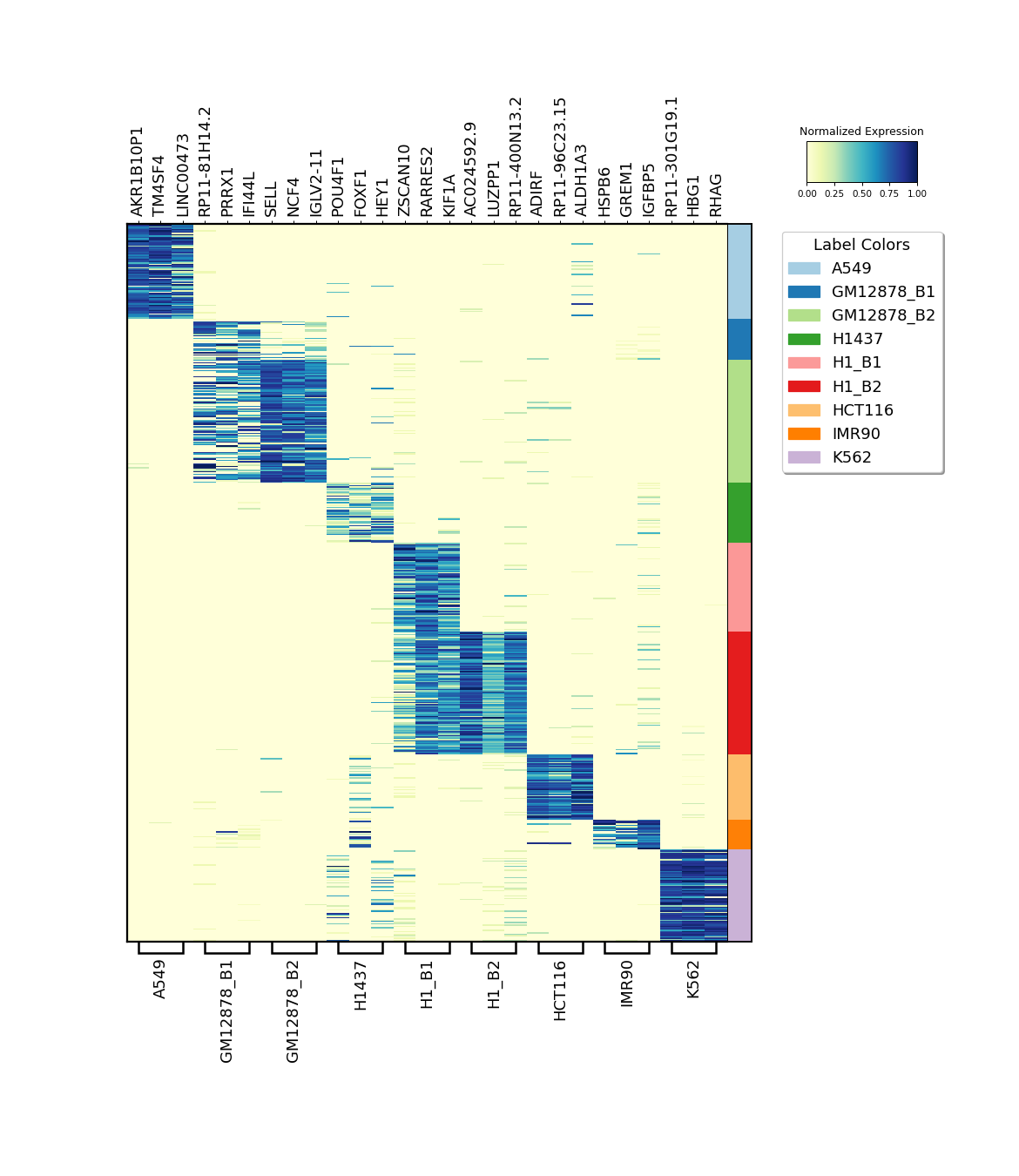 ../_images/scmags-ScMags-markers_heatmap-1.png