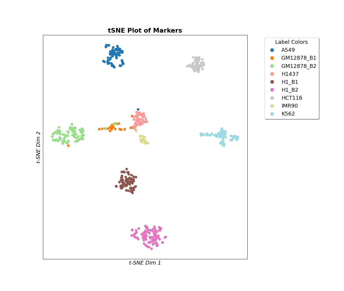 ../_images/scmags-ScMags-markers_tSNE-1.png