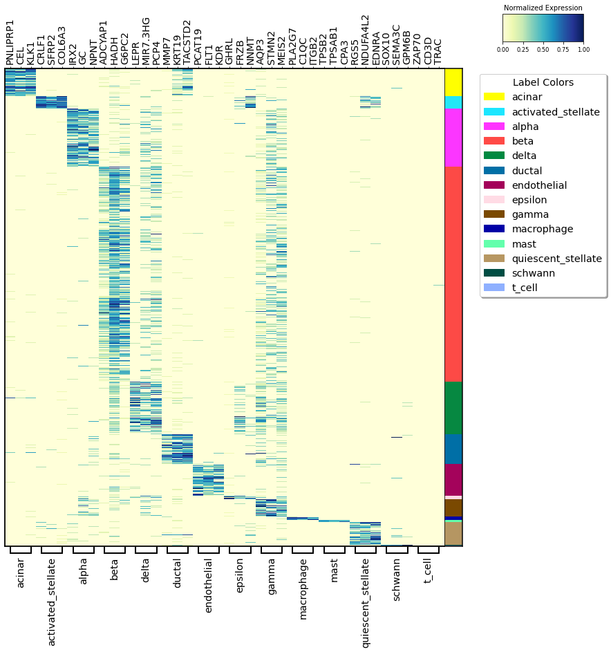 _images/visualization_5_0.png